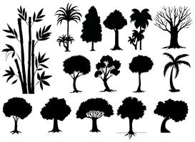 Sihouette diferentes tipos de arboles. vector