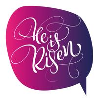 he is risen text on red background. Calligraphy lettering Vector illustration EPS10