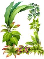 Leafy plants vector