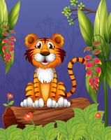 A tiger sitting in a wood  vector