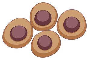 Round stem cell in brown color vector