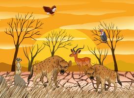 Wild animals living in dry land vector