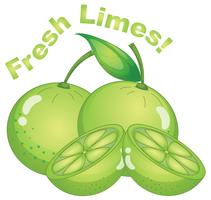 Fresh limes on white background vector