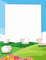 Sheeps Banner vector