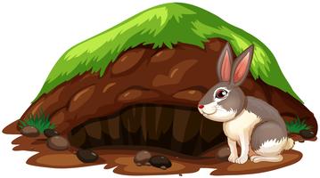 A Cute Rabbit Getting Out of Hole vector