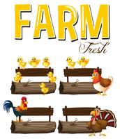 Farm animals and signs vector