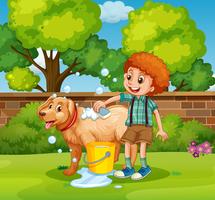 Boy giving dog bath in the park vector