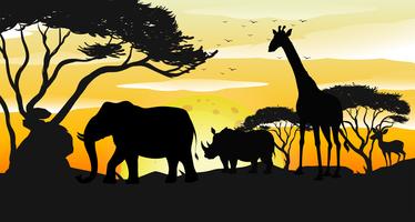 African Savannah Silhouette Sunset Scene vector