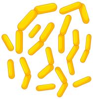 Close up bacteria in intestines vector