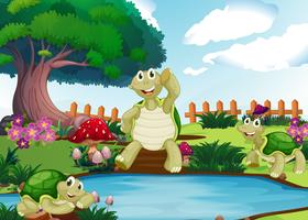 Three turtles by the pond vector