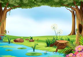 Pond vector