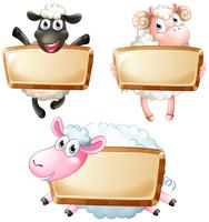 Sign template with cute sheeps vector