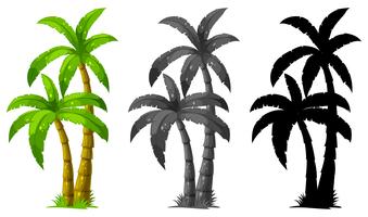 Set of palm tree vector