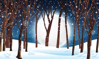 Winter forest at night scene vector