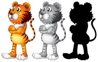 Set of tiger character vector