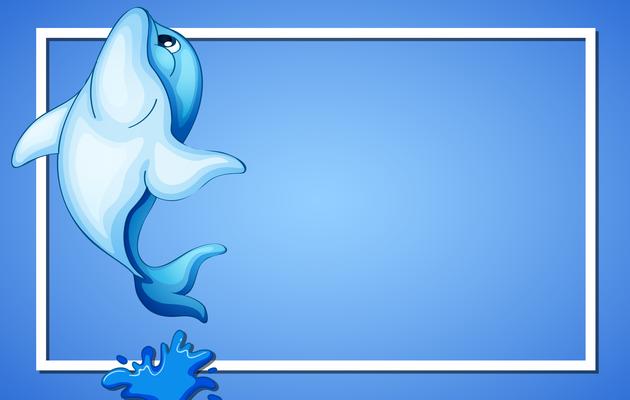 Blue Dolphin Frame Template