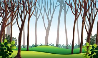 Forest scene with green grass vector