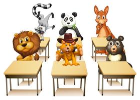 Animals in classroom vector