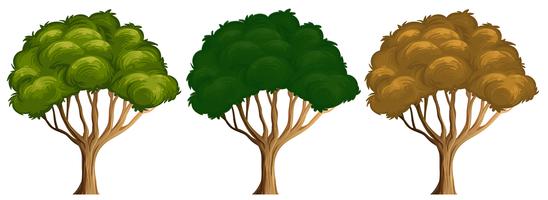 Set of different colour of tree vector