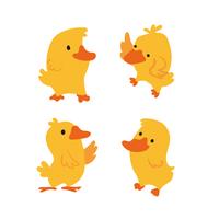 duck vector character design