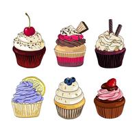 Set of cupcakes on a white background.