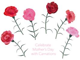 Conjunto de claveles para el día de la madre, cumpleaños, boda, etc. vector