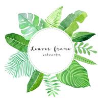 watercolor tropical green leaves frame vector