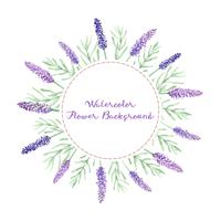 watercolor lavender flowers background vector