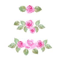 watercolor rose flower ornaments vector