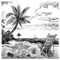 Summer Beach Sketch vector