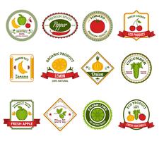 Fruit vegetables labels set color