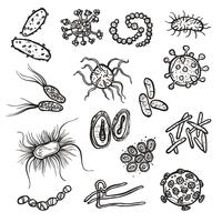 Bacteria And Virus Cell vector
