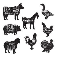 Farm Animals Set vector