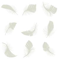 Conjunto de iconos de plumas vector