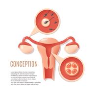 Icono de la concepción del embarazo