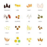 Seed Icon Flat vector