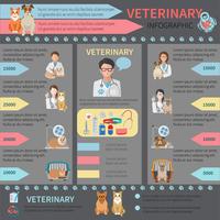 Conjunto de infografía veterinaria vector