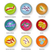 Bacteria Icons Set