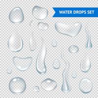 Water Drops Realistic vector