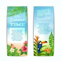 Banner tropical de verano vector