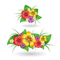 Tropical flowers decor elements vector