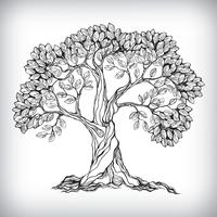 Dibujado a mano símbolo de árbol vector