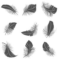 Feather Black Set vector