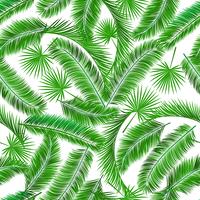 Tropical palm tree seampless pattern vector