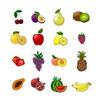 Conjunto de iconos de frutas vector
