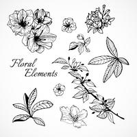 Set of floral elements vector