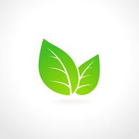 Emblema de ecología hoja verde vector