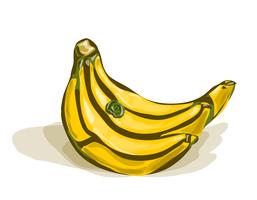 Racimo de plátanos vector