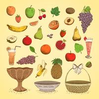 Conjunto de jugosas frutas frescas vector