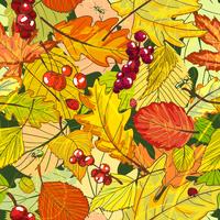 autumn background vector